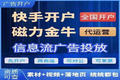SEM竞价优化策略：成功案例解析